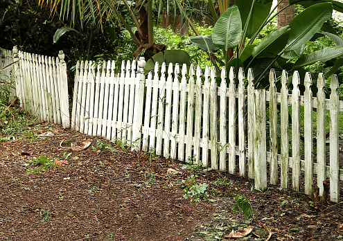 Moldy old white broken picket fence in need of replacement