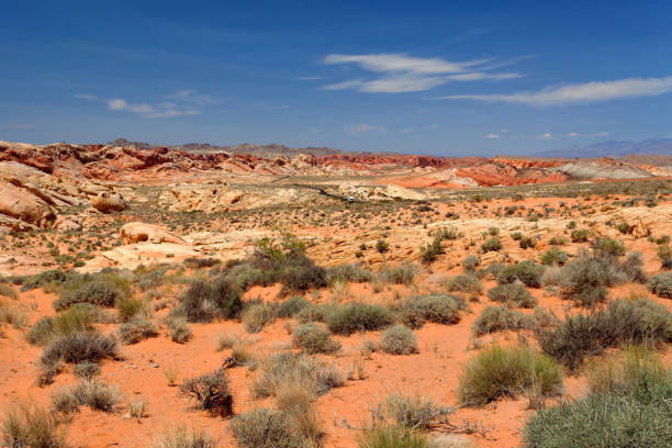 istock Valley of Fire State Park, Nevada, United States 1126696892