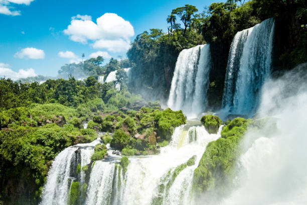 istock Power of Nature 1126699497