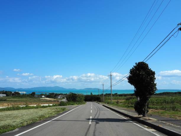 istock Straight path in the countryside, Kohama Island, Okinawa 1126703602