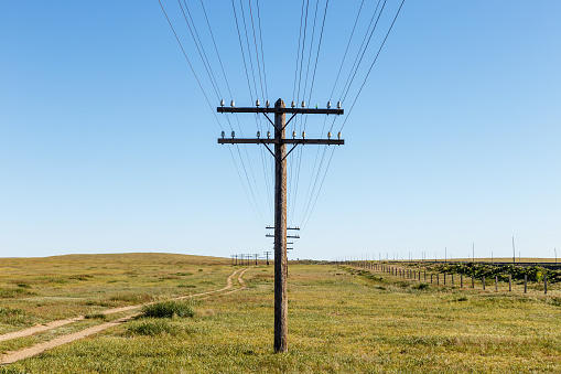 overhead line on wooden supports in the Mongolian steppe