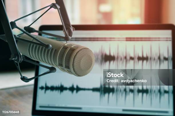Microfono Professionale - Fotografie stock e altre immagini di Podcasting - Podcasting, Microfono, Voce