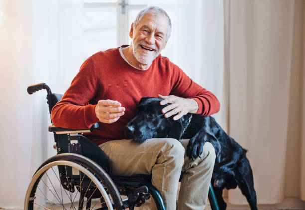 un anziano disabile in sedia a rotelle al chiuso che gioca con un cane da compagnia a casa. - sedia a rotelle foto e immagini stock