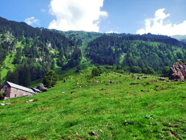 istock Murgtal valley along the Murg stream 1126713700