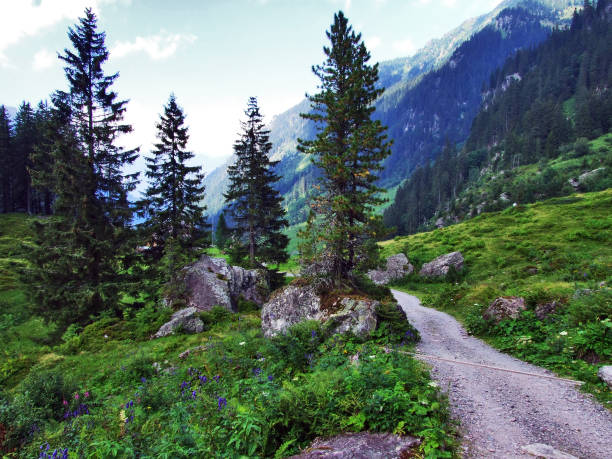 Murgtal valley along the Murg stream - Canton of St. Gallen, Switzerland