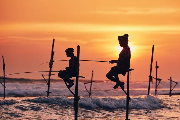 Traditional stilt fishing in Sri Lanka Silhouettes of the traditional fishermen. Traditional stilt fishing near Galle in Sri Lanka. southern sri lanka stock pictures, royalty-free photos & images