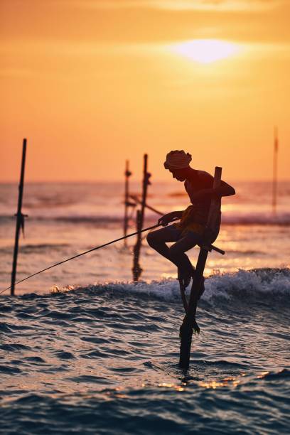 Traditional stilt fishing in Sri Lanka Silhouette of the traditional fisherman. Traditional stilt fishing near Galle in Sri Lanka. southern sri lanka stock pictures, royalty-free photos & images
