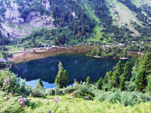 istock Alpine lake Unterer Murgsee in the Glarus Alps mountain range 1126718478