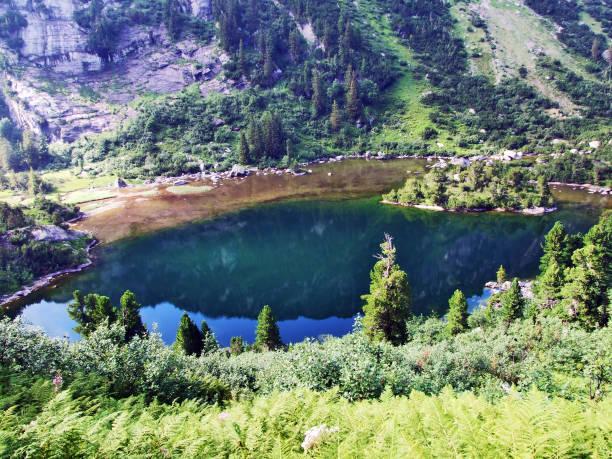 istock Alpine lake Unterer Murgsee in the Glarus Alps mountain range 1126718480