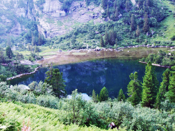 istock Alpine lake Unterer Murgsee in the Glarus Alps mountain range 1126718483