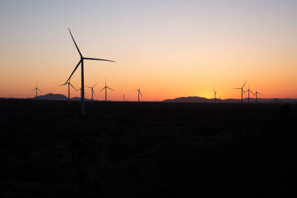 wind turbine silhouettes at dawn - tehachapi imagens e fotografias de stock