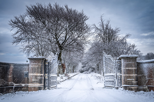 snow scene with frost covered antique iron gates leading to a tree lined driveway, with a cloudy winter sky