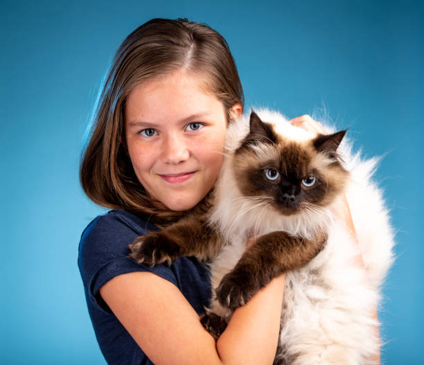 istock Cute Young Girl Playing with her Cat 1126726182