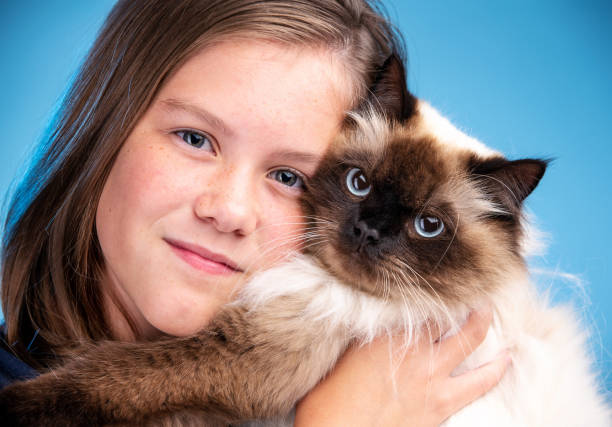 istock Cute Young Girl Playing with her Cat 1126726221