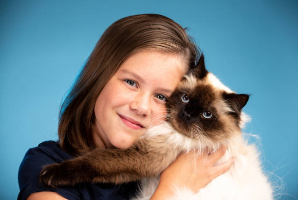 istock Cute Young Girl Playing with her Cat 1126726226