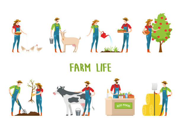 illustrations, cliparts, dessins animés et icônes de homme et femme faisant ferme fonctionnent, jardinage. - agriculture farm people plow