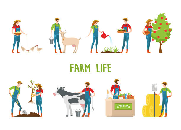 남자와 여자 농장을 하 고 작동, 원 예. - agriculture farm people plow stock illustrations