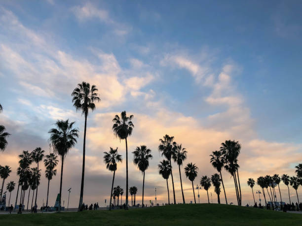 istock Sunset over the Pacific Ocean in Los Angeles, CA 1126727899
