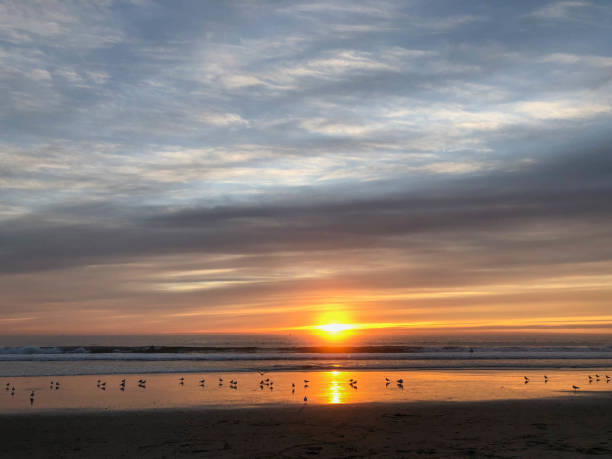 istock Sunset over the Pacific Ocean in Los Angeles, CA 1126727990