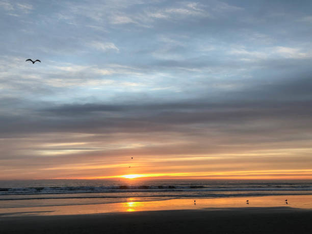 istock Sunset over the Pacific Ocean in Los Angeles, CA 1126728017