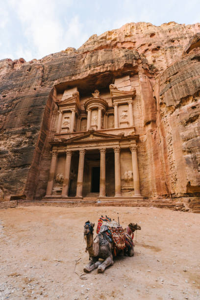 istock Camel infront of Al-Khazneh in Petra 1126732483