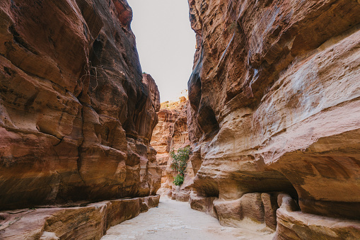 Scenic view of  Siq canyon in Petra, Jordan