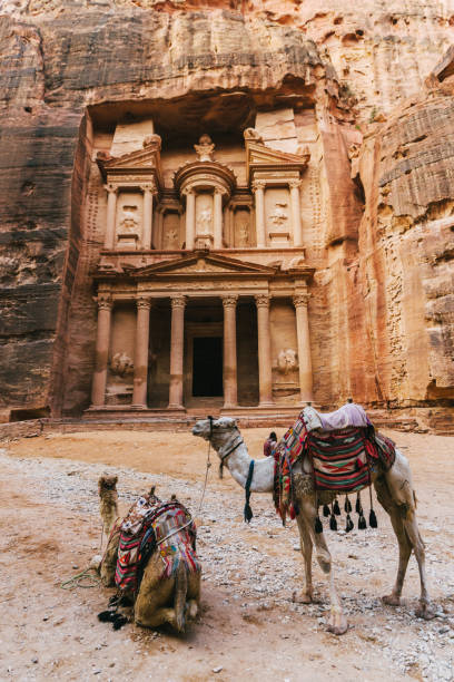istock Camels infront of Al-Khazneh in Petra 1126733165