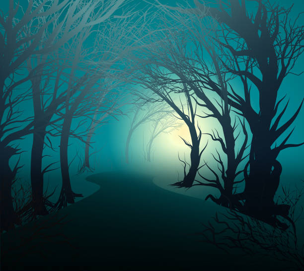 scary forest with light, park lane at night with mystery yellow light, halloween mystery, vector scary forest with light, park lane at night with mystery yellow light, halloween mystery, vector spooky stock illustrations