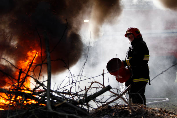 소방 거품 숲 불으로 소멸. 용감한 소방 관입니다. 산림 화재입니다. 불 싸움 - fire department courage forest fire heroes 뉴스 사진 이미지