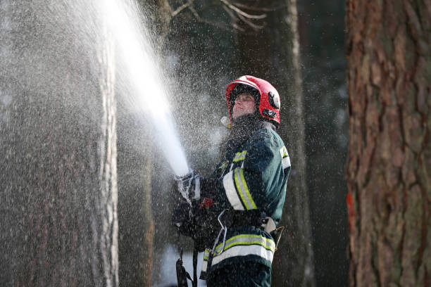 bomberos extingue un incendio forestal. bombero con una manguera con espuma en el trabajo - fire department heroes portrait occupation fotografías e imágenes de stock