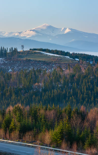 istock Early morning spring Carpathian mountains 1126745797