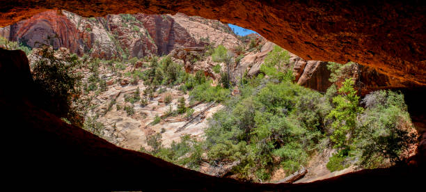 istock Narrow pathway through the canyon. Zion National Park. 1126748048