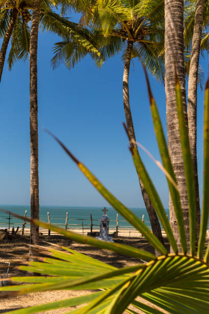 istock Palm trees and a small cross on a beach. Goa, India 1126753479