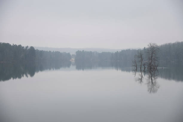 Trees in and along the water reflect on the water on an overcast and cold winter day.
