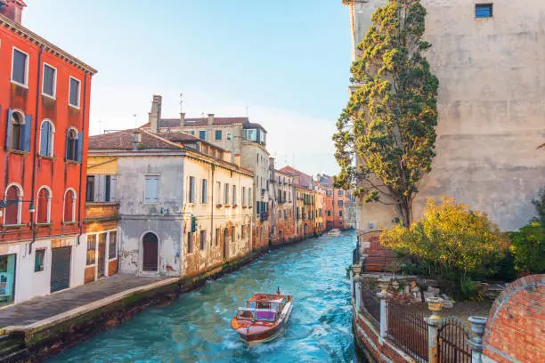 Photo of Canal in Venice with a small garden and a tree near the house, on the water a small motor boat.