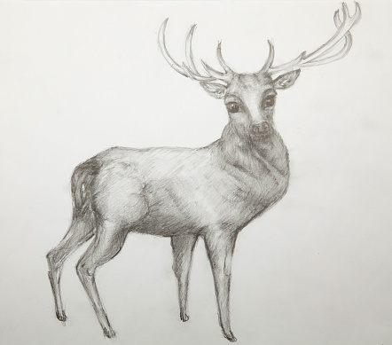 christmas-deer drawing