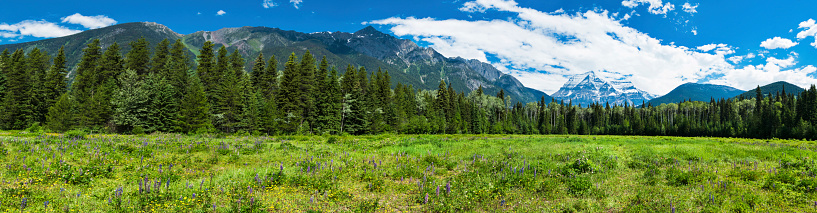Panoramic shot of Mt Robson in the beautiful wilderness landscape of Mount Robson Provincial Park in the Canadian Rockies of British Columbia, Canada. Multiple files stitched.