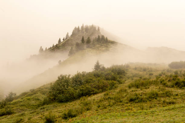 istock Hilltops in Fog 1126773034