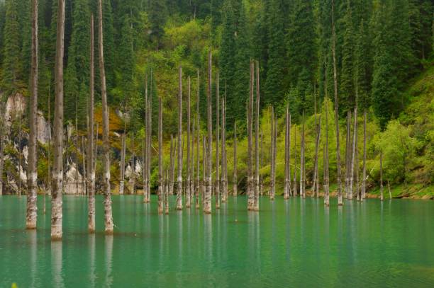 istock Lake Kaindy , Kazakhstan 1126779216