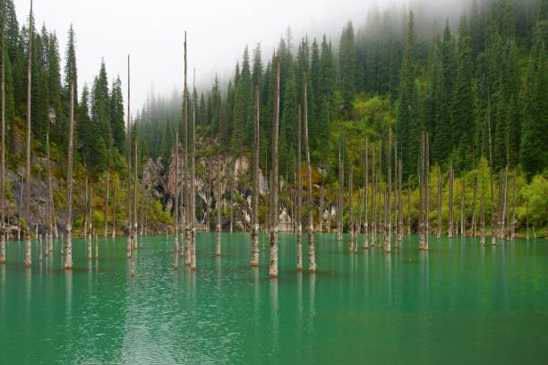 istock Lake Kaindy , Kazakhstan 1126780959