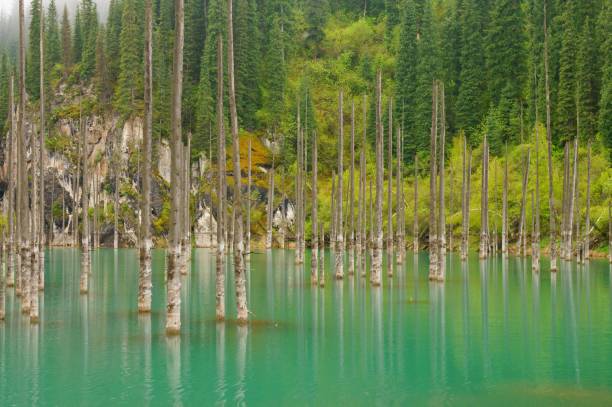 istock Lake Kaindy , Kazakhstan 1126781768