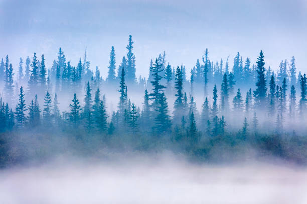 istock Jasper National Park in Alberta Canada 1126782065