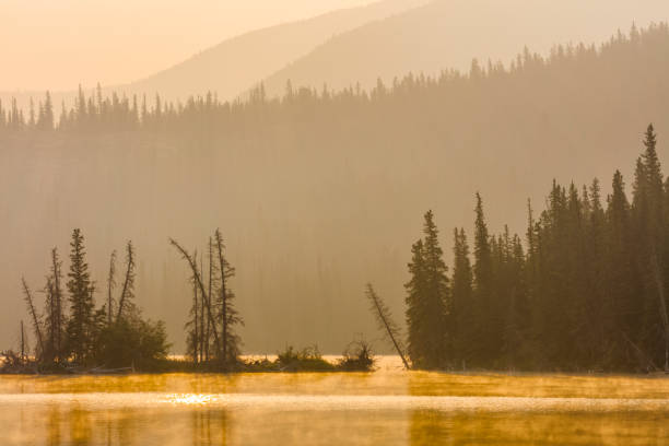 istock Jasper National Park in Alberta Canada 1126782809