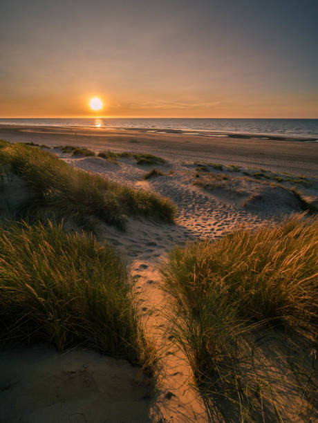 istock Sun setting into the sea seen from marram grass covered dunes 1126783012