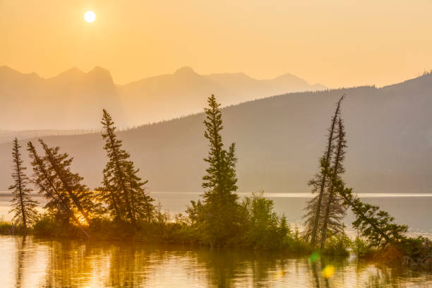 istock Jasper National Park in Alberta Canada 1126783448