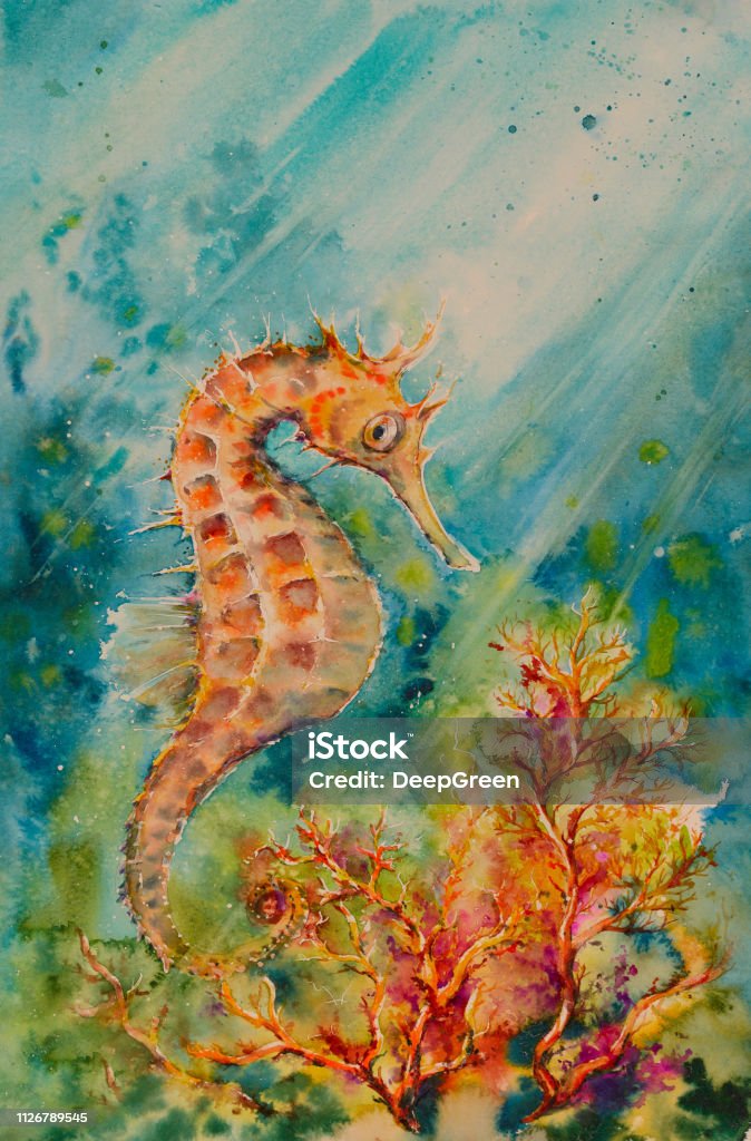 Seahorse Illustration of seahorse, corals and shoal of fishes. Ocean underwater background. Picture created with watercolors. Watercolor Painting stock illustration