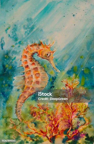 Seahorse Stock Illustration - Download Image Now - Watercolor Painting, Reef, Seahorse