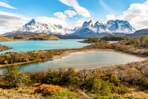 istock Torres del Paine National Park, Chile 1126792860