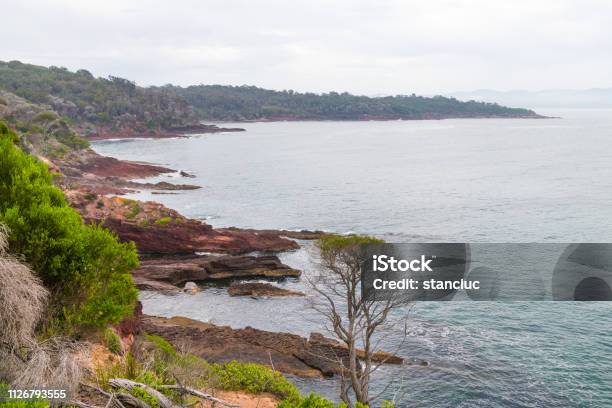Marine Red Folded Rocks In Ben Boyd National Park Nsw Australia Stock Photo - Download Image Now
