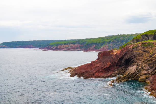 istock Marine red folded rocks in Ben Boyd National Park, NSW, Australia 1126793620